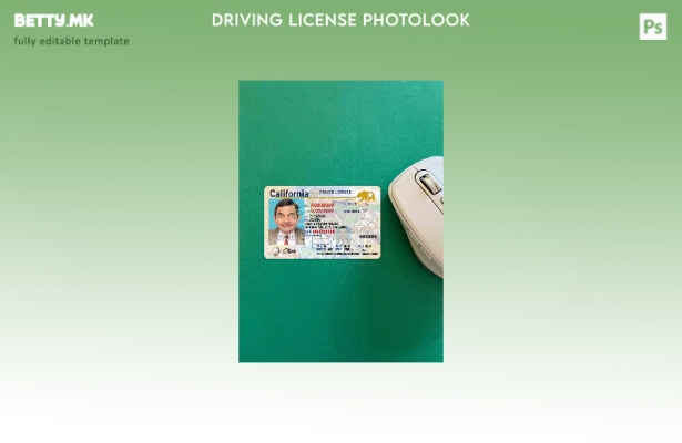 модерен стил USA California DL (, јануари – сегашност) photolook FRONT шаблон